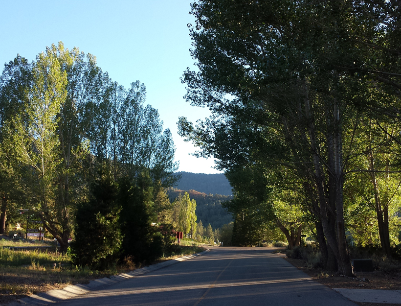 Pine Mountain Club, CA, July Weekend