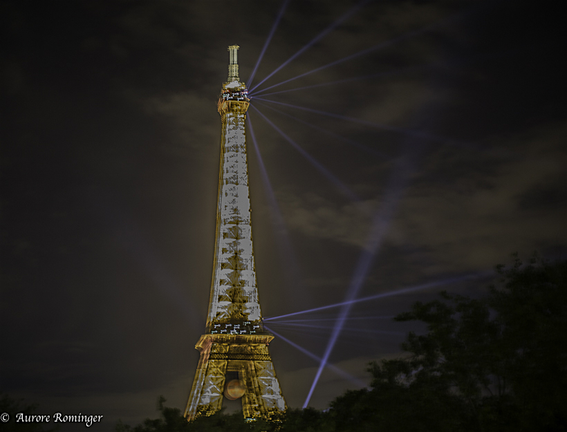 Paris Spring