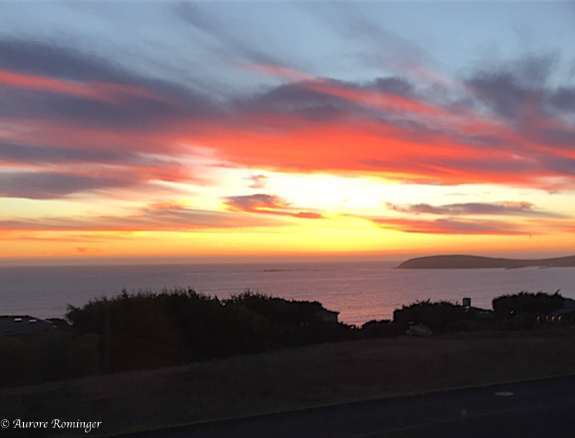 Bodega Bay Beauty
