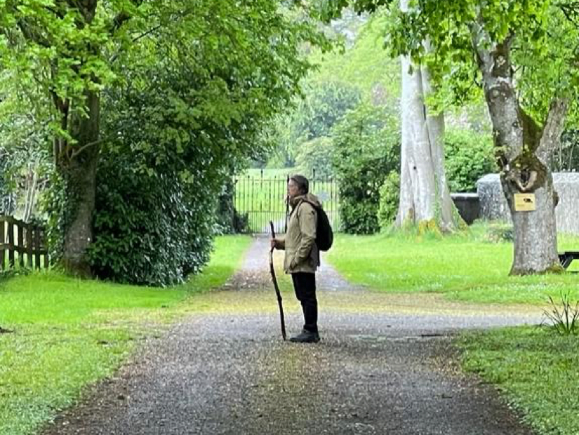 A man standing amongst nature in Durrow, Ireland