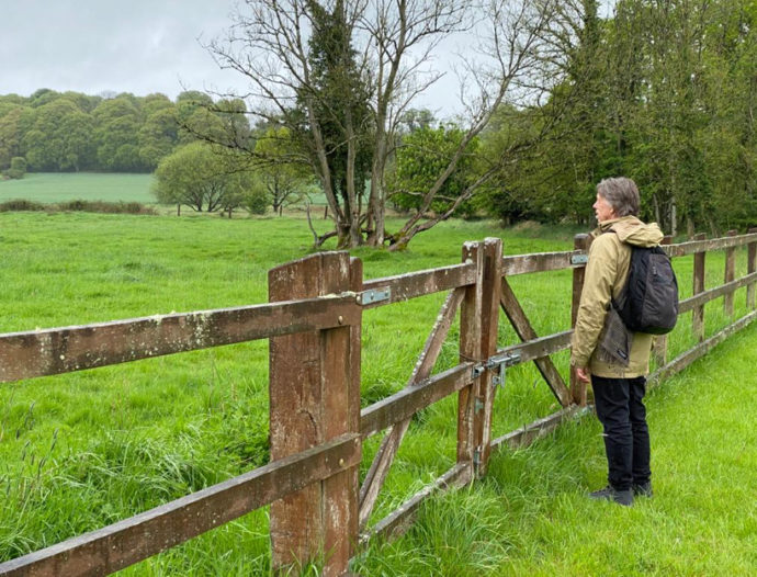 Mike Sanders staring pensively beyond a fence in Durrow, Ireland