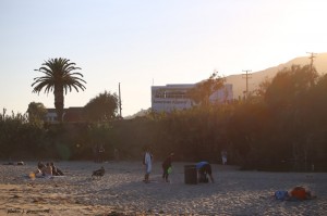 beach-crowd 